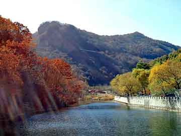 管家婆黑白马报图库，梨树seo排名